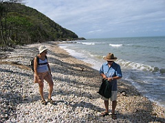 CairnsTC439 Port Douglas